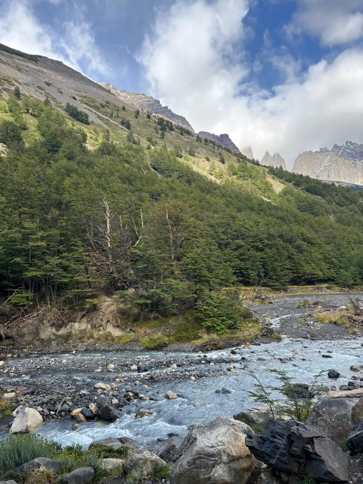 Trekking Base de las Torres — 7