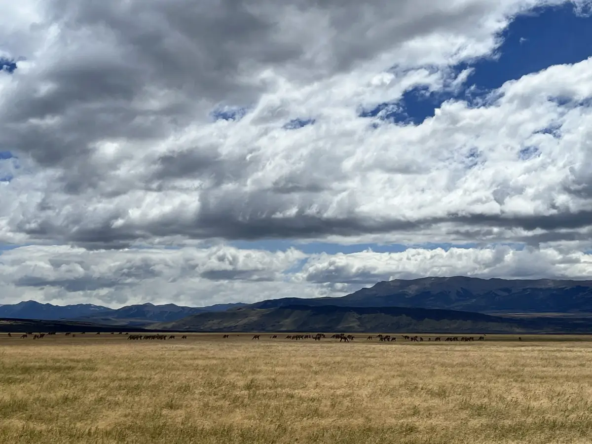 Sierra Baguales: Land der Fossilien — 4