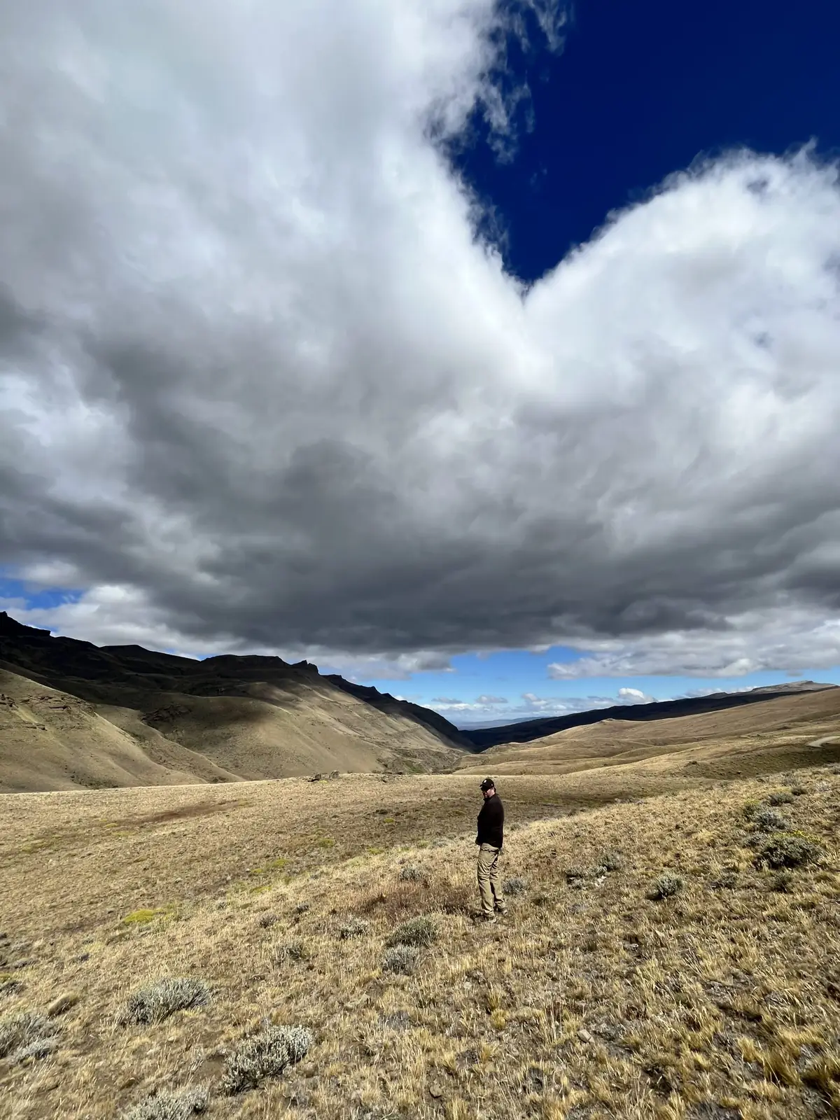 Sierra Baguales: Land der Fossilien — 2