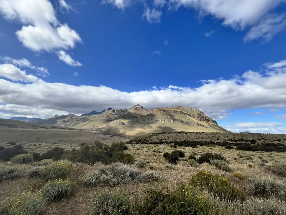 Sierra Baguales: Land der Fossilien