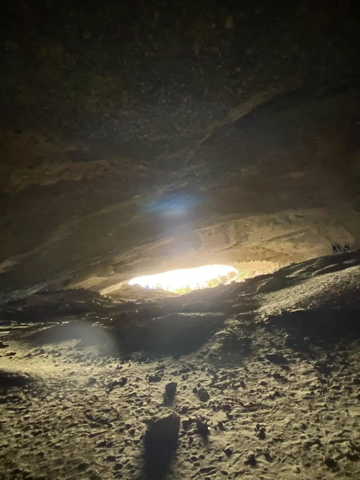 Stadttour Puerto Natales + Milodón-Höhle — 4