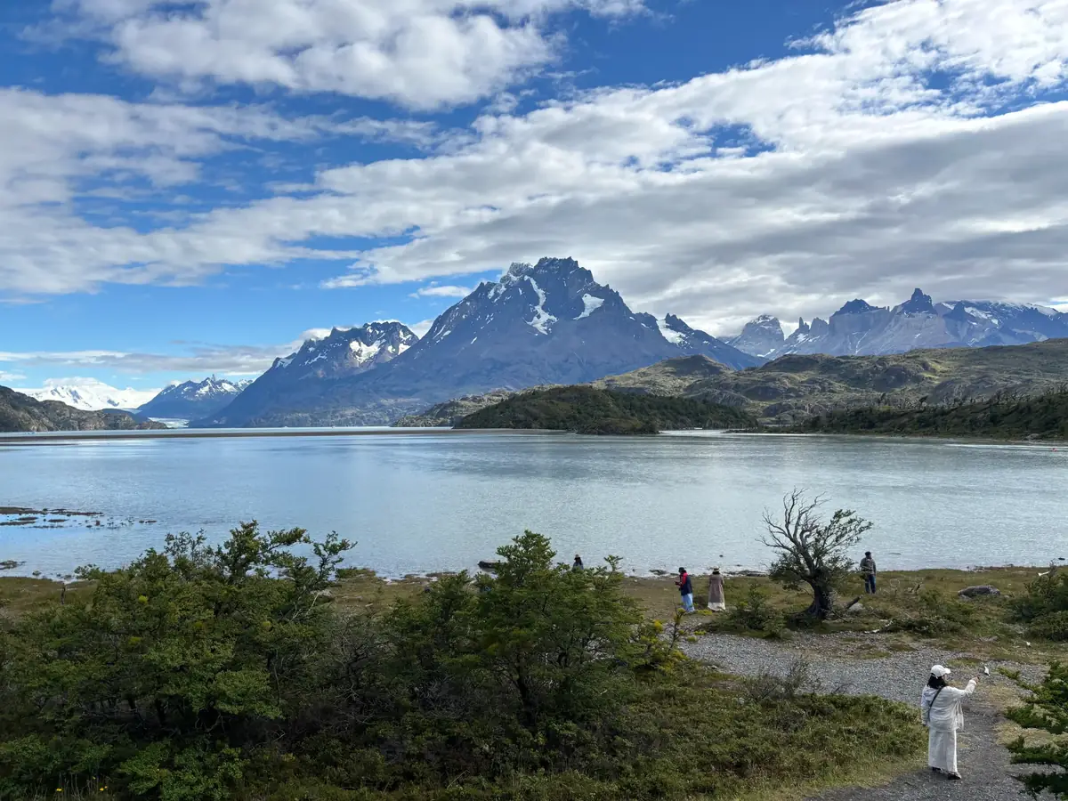 Full Day Miradores de Torres del Paine