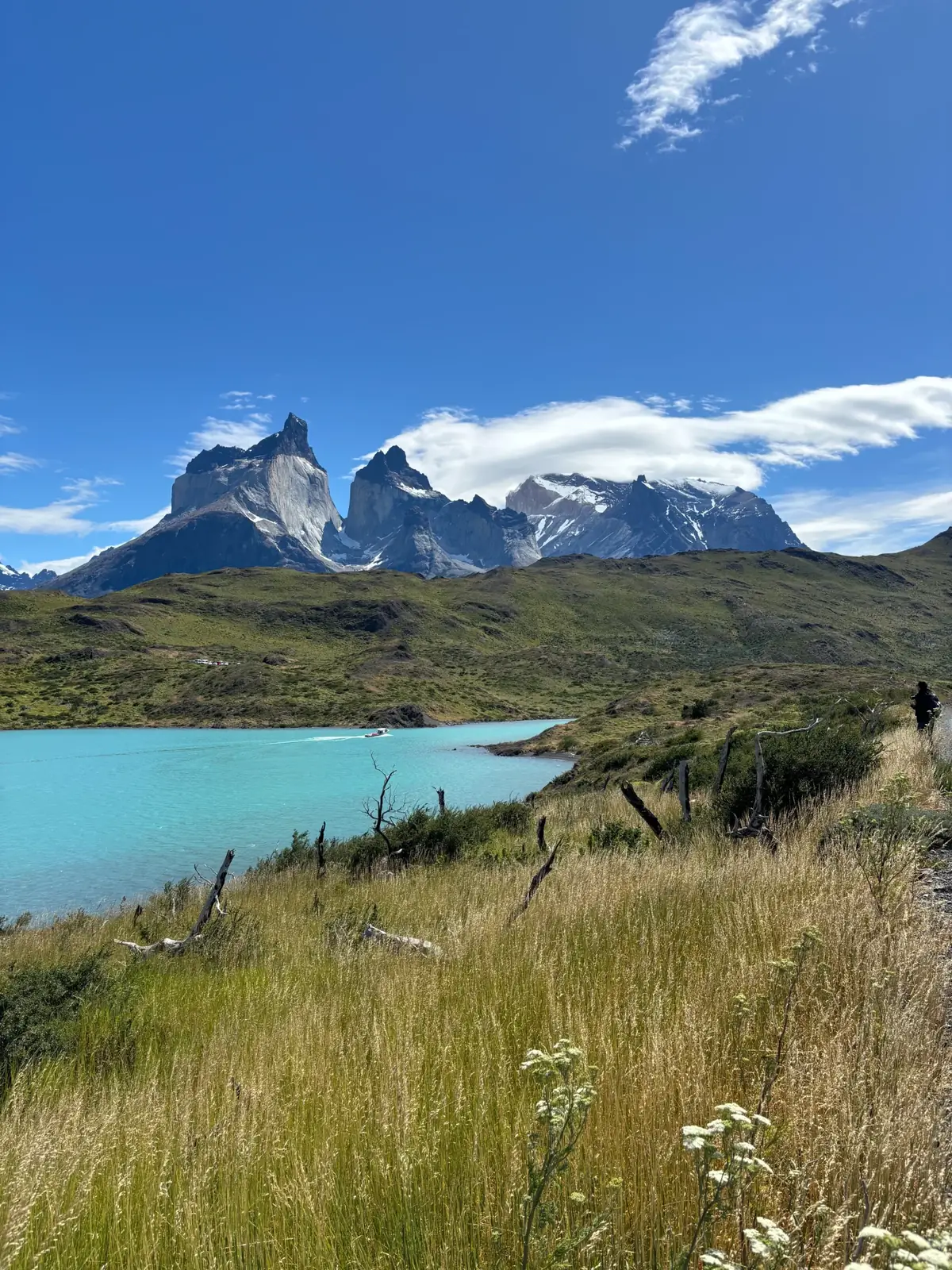 Miradores del Paine · Full Day — 7