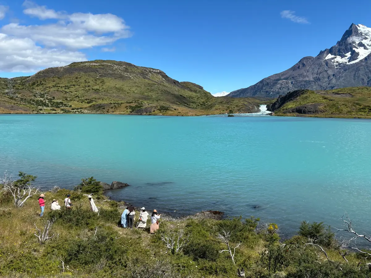 Miradores del Paine · Full Day — 4