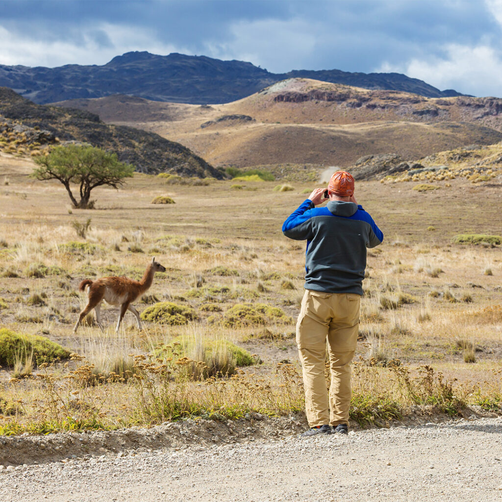 https://hackpatagonia.cl/wp-content/uploads/2024/07/guanaco-2025-01-09-07-56-03-utc-1024x1024.jpg