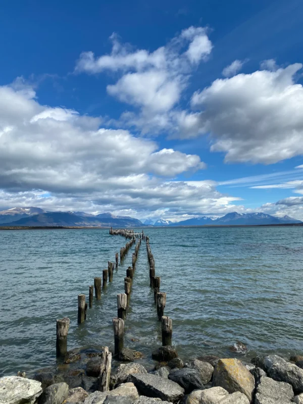 City Tour Puerto Natales y Cueva del Milodón