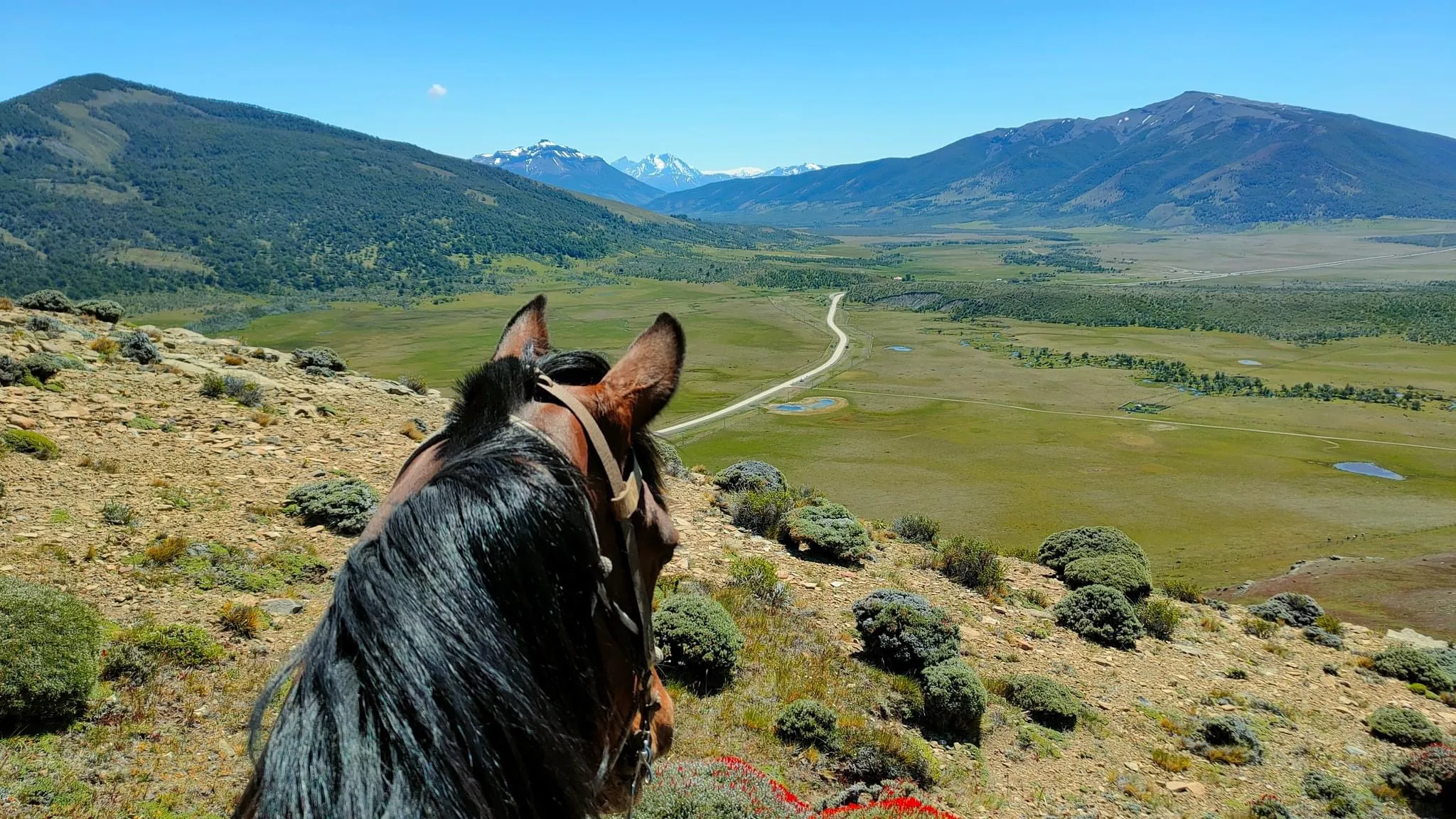Experiencia en una Estancia Patagónica con degustación - Imagen 4