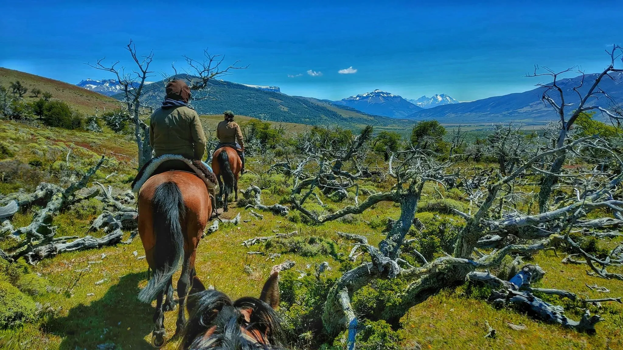 Experiencia en una Estancia Patagónica con degustación - Imagen 3