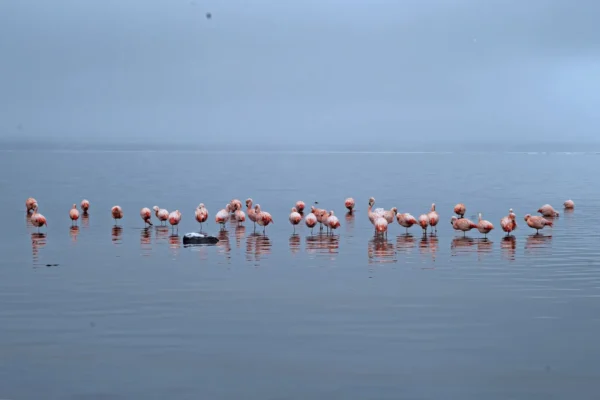 Tour Fotográfico en Torres del Paine (privado)